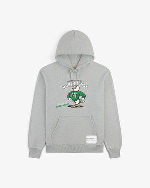 Cheer for North Texas