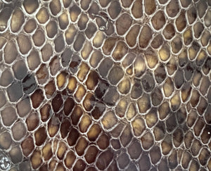 The Pryvate Skool Snake Skin Air Jordan 1 Mid